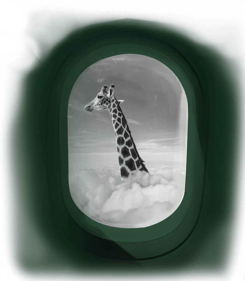 zyrPNG-min kopia-min